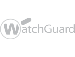 WatchGuard Professional Partner